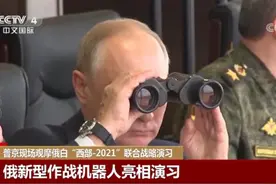 此次演习为何让北约忐忑不安？图片
