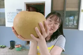 这才是真正的鸭梨山大图片