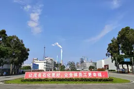 中国石化茂名石化2020年社会责任报告图片