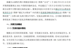 20CM涨停！400头母牛催生6亿市值，昔日妖股风云再起，中植系将入主图片