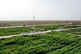 盐碱地改良，南疆地区有示范图片