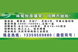 惊！大庆这里有片“普罗旺斯”花海图片