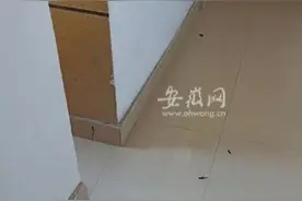 恶心！安徽六安一小区有住户从高空抛扔大便！飞溅到其他业主家门口......图片
