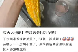 原来苦瓜熟了是甜的 苦是自我保护，却偏偏遇上中国人图片