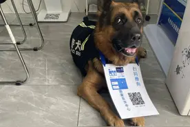 扫码就能撸狗！杭州派出所警犬挂牌推广反诈APP，网友：给狗子加工资吗图片