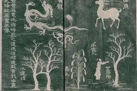 穿越者王莽，死于“祥瑞”的“河豚毒”图片