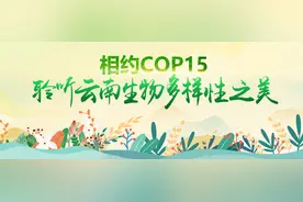 揭秘！联合国为何选择在云南召开生物多样性大会图片