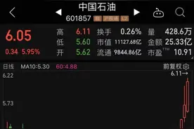 重回万亿市值！中国石油逆袭成“A股男神”，年内涨幅已达50%图片