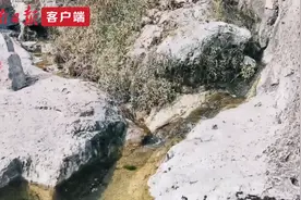 龙门石窟千年泉水复流图片