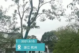杭州西湖边这座带咖啡馆的公厕火了 负责人：希望给游客留下美好回忆图片