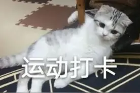 明明好好锻炼认真减肥，为啥反而增重了？图片