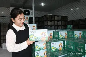 鲁山县90后女孩程佳佳5个月卖出农产品300余万元图片