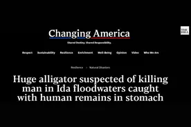 美国七旬男子在“艾达”洪水中遭鳄鱼袭击后失踪，鳄鱼胃里发现疑似人体遗骸图片