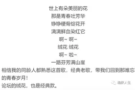 绒花：大热款仙气女士春夏休闲短款套头衫（有编织图解）图片