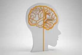红星专访｜雄性激素分泌越多的人越自私？中国科学家首次发现其神经学机制图片