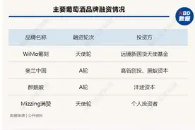 国货葡萄酒品牌又现融资，微醺的资本风口下，曾经不够性感的赛道真香了？图片