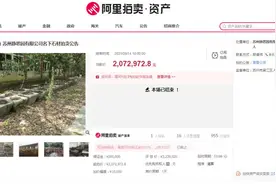 “江南第一私家园林”苏州静思园破产，价值千万的藏品被司法拍卖图片