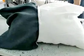 男子千里邮寄一只旧枕头 原来枕芯内藏有猫腻图片