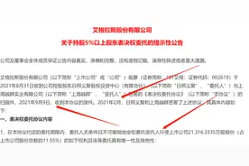 *ST艾格大股东“悄悄”委托表决权，延迟7个月披露意欲何为图片