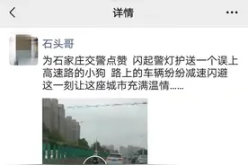 “这一刻，让这座城市充满温情”谢谢你，高架桥上的年轻交警图片