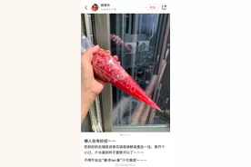 冲上热搜！懒人是如何吃石榴的？网友纷纷贡献神仙吃法图片