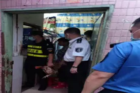 严查非法饲养活禽！莲花街道执法队城中村查处40只活禽图片