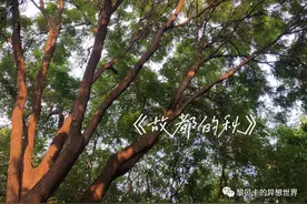 真没想到，我也有分享这些东西的一天图片