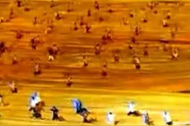 武汉129名大学生亮相全运会开幕式，舞蹈表演惊艳全场视频封面