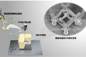 蜘蛛丝也可以用作光刻胶？图片