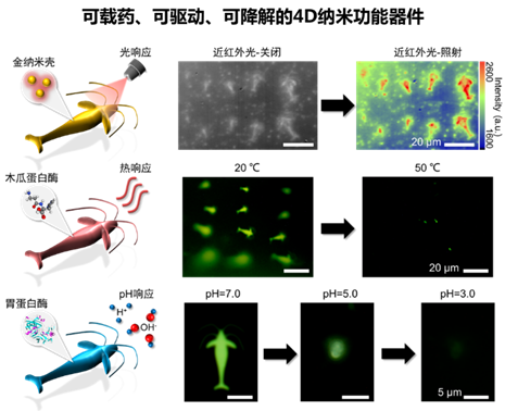 蜘蛛丝也可以用作光刻胶？