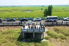 江西余干：渔民不捕鱼上岸也致富 鄱阳鱼虾多江豚数量增图片