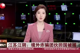 江苏江阴：境外诈骗团伙回国被捕视频封面