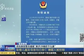 河北保定警方通报“男子29楼扔下儿童”：坠楼儿童及母亲均已身亡  嫌疑人被控制视频封面