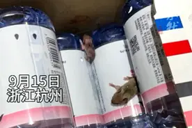女子网购矿泉水打开一看竟有两只老鼠 平台回应退货补20元超卡图片