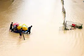 半月谈丨突然失去互联网，城市脆弱几何图片