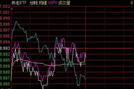 散户傻眼了！板块龙头被券商喊买入，结果股价连跌一个月，但有基金刚刚进场抄底了图片