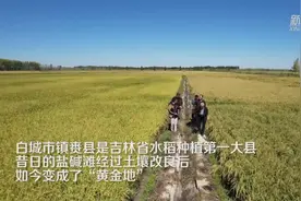 当5G遇上稻田地