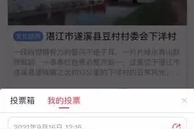 来不及解释了，投了再说！揭阳这些乡村等你来打call图片