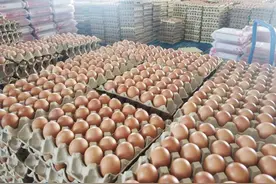 漯河：不一样的鸡蛋图片