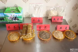驾车人手中的燕麦 图文\张春燕图片