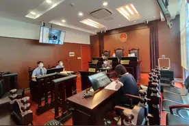 95后壮汉与前女友微信好友“网恋”，骗取近20万元被判刑图片