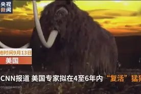 疯狂计划！美国专家欲“复活”史前猛犸象图片