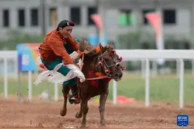 青海民族运动会：马背技艺高图片