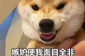 价格不菲！女子吃海螺吃出稀世珍宝 网友炸锅了图片