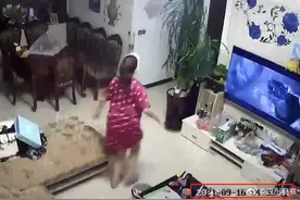 四川泸县地震时妻子反冲向屋内叫醒老公，狗被吓得冲出房间，网友：狗子靠不住图片