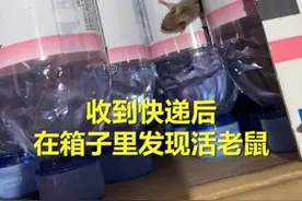 矿泉水快递现活老鼠！天猫超市致歉称将排查原因，已下架产品图片