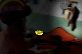 这是一条带味道的推送！黄鼠狼带着消防员小哥上了热搜图片