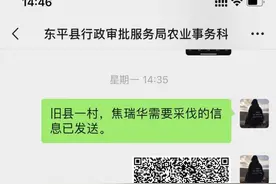 东平县：小轨迹助力林木采伐审批效率大提升图片