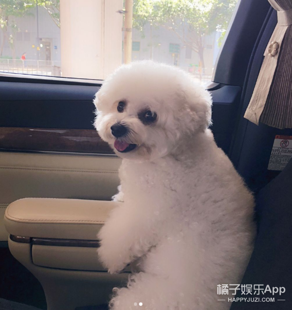 盘点哥哥的豪宅！赵文卓家客厅大到能滑板，陈小春家连鞋都有房间