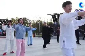 全球连线丨技养结合大成拳图片